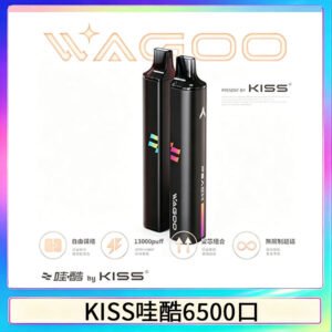 KIS5WAGOO哇酷6500口拋棄式 | 自由混搭雙口味 | 雙芯組合